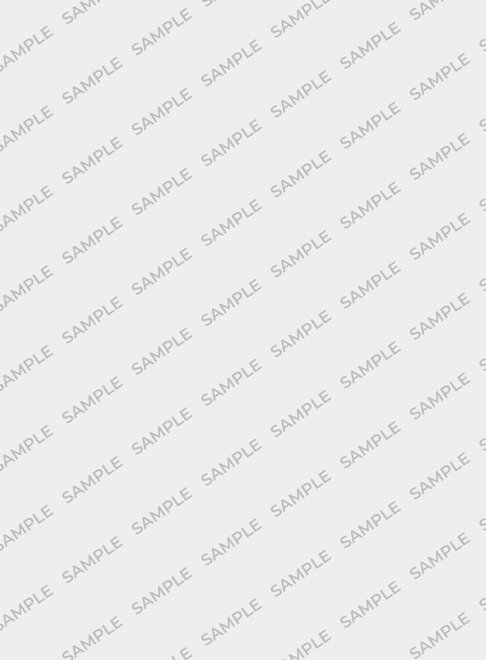 Men Vision Trainers - Image 2